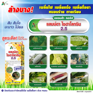 แลมป์ดา ไซฮาโลทริน สูตรเย็น ออกฤทธิ์เร็ว กำจัดหนอน หนอนเจาะต้น แมลงหวี่ขาว เพลี้ย เอเจนต้า คอร์ป ขนาด 1 ลิตร