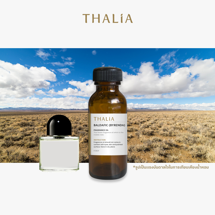 หัวน้ำหอม Fragrance oil กลิ่น BALDAFIC (BYRENDA) ราคา ถูกที่สุด ดีลบีเคเค