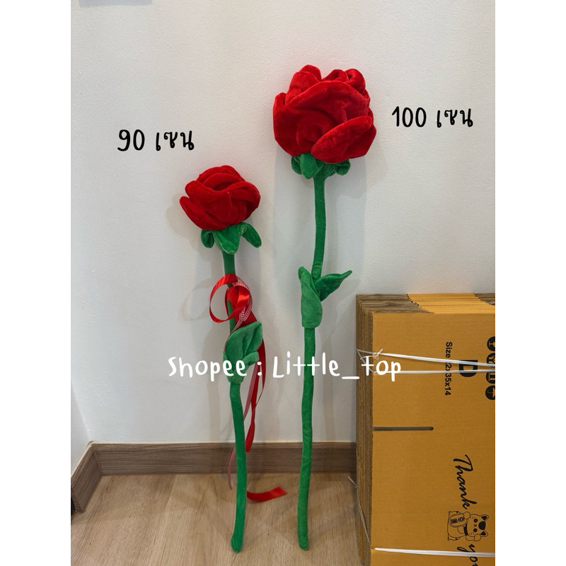 รูปภาพ 3