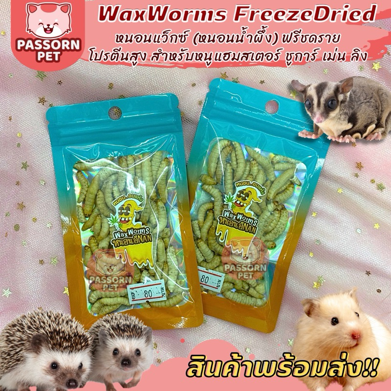 [Passorn.Pet] Waxworms Freeze Dried 10g. หนอนเเว็กซ์ฟรีซดราย เสริมโปรตีน ชูการ์ แฮมสเตอร์ ลิง เม่นแคระ