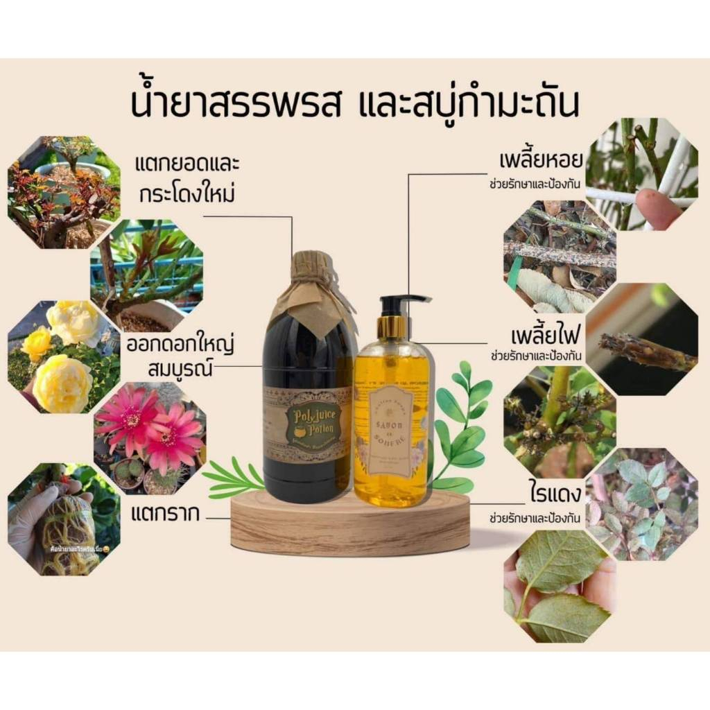 Savon Soufre Polyjuice Potion ซาวอง ซูฟเคอร์ สบู่กำมะถัน น้ำสรรพรส ปุ๋ยกุหลาบ สบู่อาบน้ำ ไล่เพลี้ย - รูปที่ 2