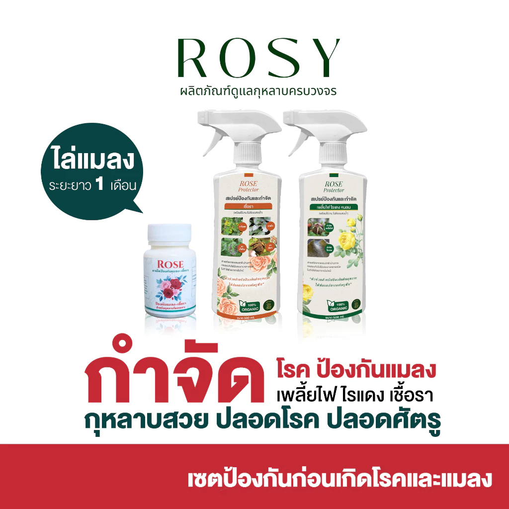 Rosy เซ็ทป้องกันก่อนเกิดโรคและแมลง [ยาเม็ด + สเปรย์เชื้อรา + สเปรย์เพลี้ยเขียว] เพลี้ยไฟ ไร หนอน เชื้อรา ใบเหลืองมีจุดดำ