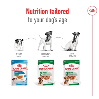 [PETClub] Royal Canin Wet MINI AGEING 8+ in GRAVY - อาหารเปียกสูตรสุนัขสูงวัยพันธุ์เล็ก 85g.x12ซอง