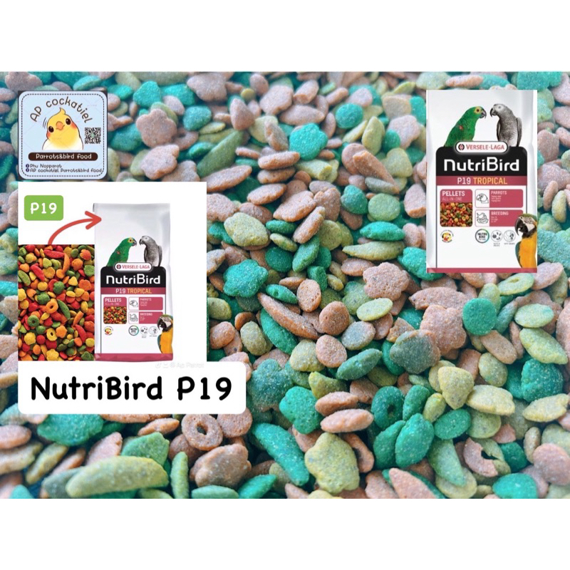 NutriBird P19 Tropical แบ่งขาย 1kg