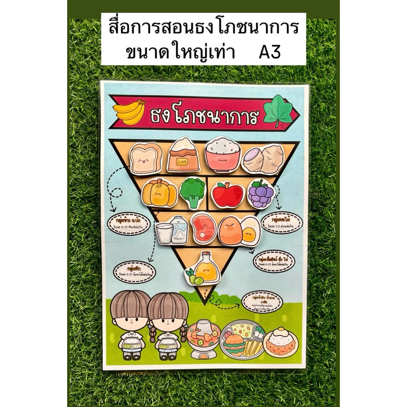 สื่อการสอนธงโภชนาการ สื่อการสอนขนาดใหญ่ เท่า A3