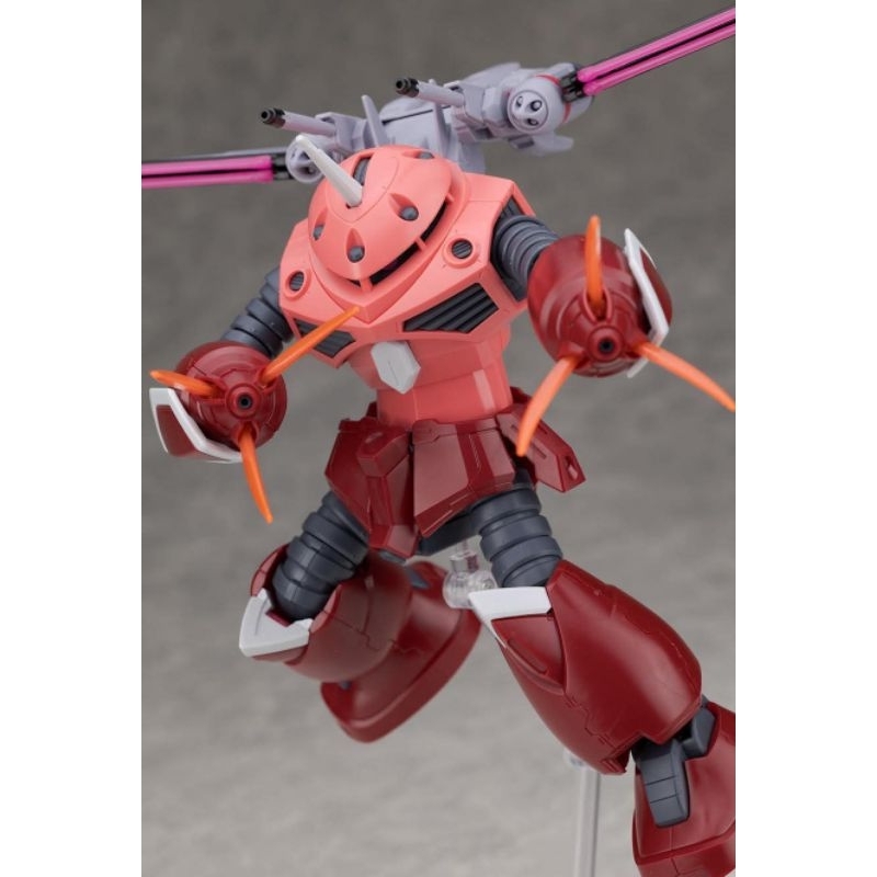 Hg Z’Gok Seed Freedom