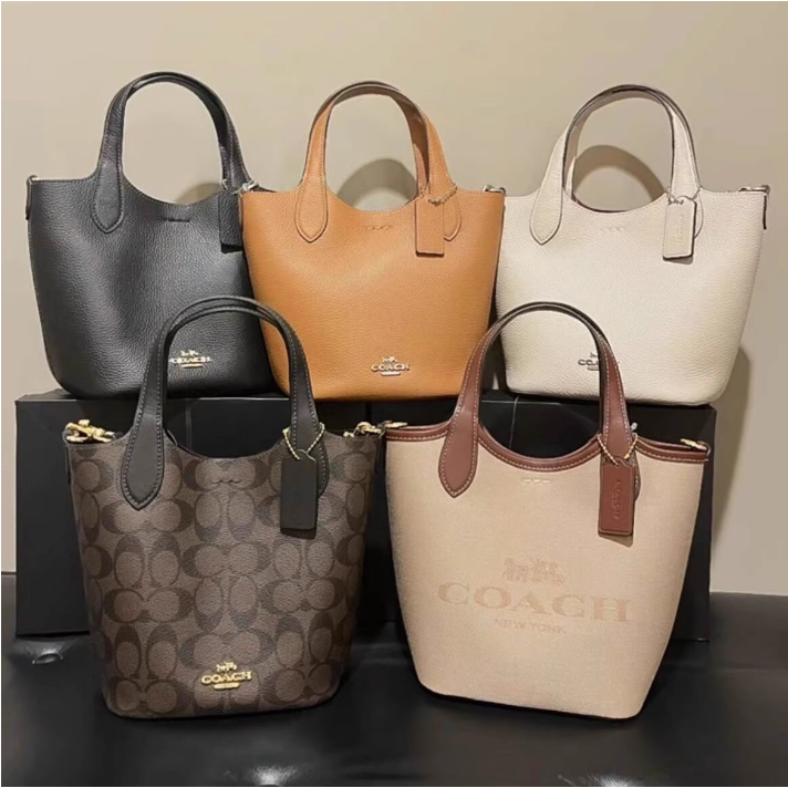 แท้💯%/Outlets ปลอดภาษี กระเป๋าสะพายข้างผู้หญิง Coach HANNA กระเป๋าถือ CR256 CR169 CR168-จัดส่งจากโกดังกรุงเทพฯ