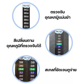 สติกเกอร์แผ่นวัดอุณหภูมิน้ำ ตู้ปลา อ่างปลา Thermometer Strip เทอร์โมมิเตอร์ แบบสติกเกอร์ วัดอุณหภูมิแปะตู้ปลา