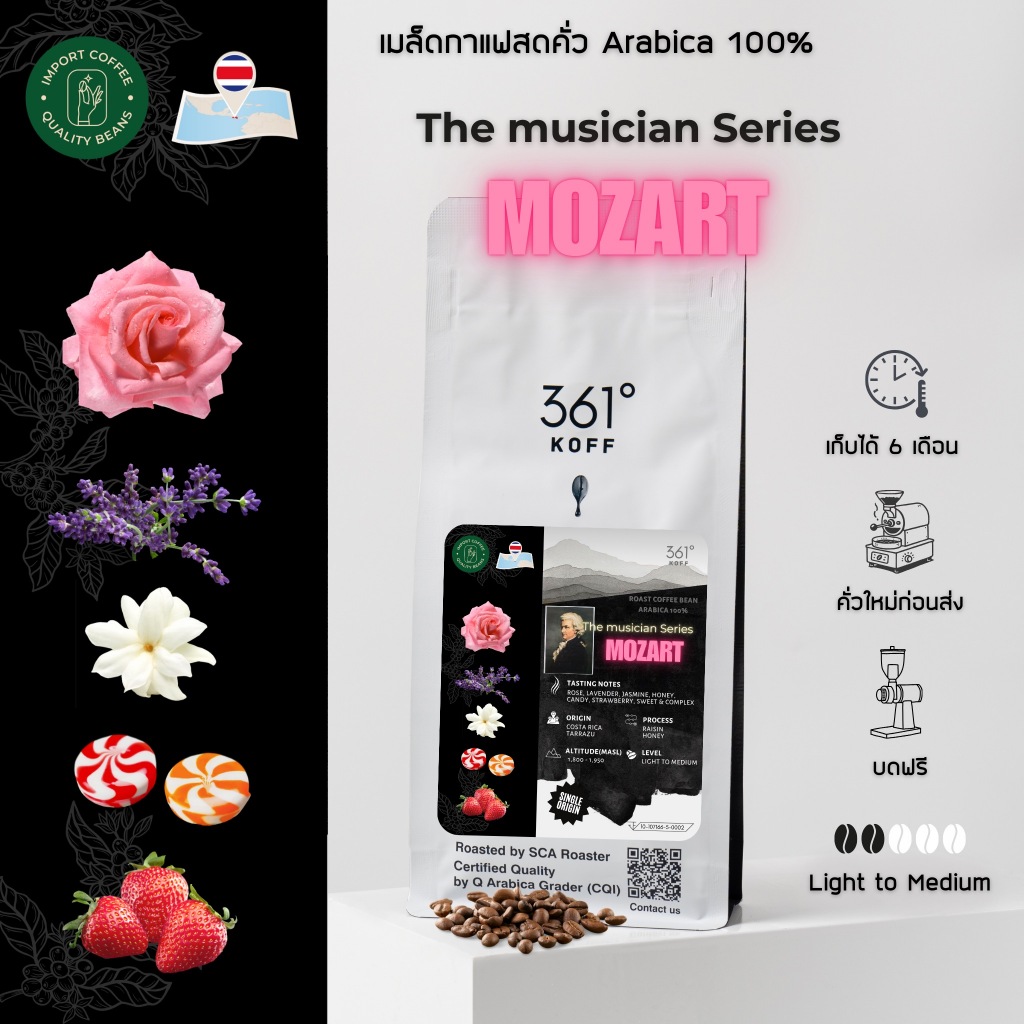 Mozart [ The Musician Series]