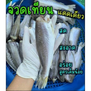 ปลาจวดเทียนแดดเดียว จวดเทียน (สูตรเค็มน้อย)แพค 500g สด สะอาด อร่อย เค็มกำลังดี ไร้สารเคมี