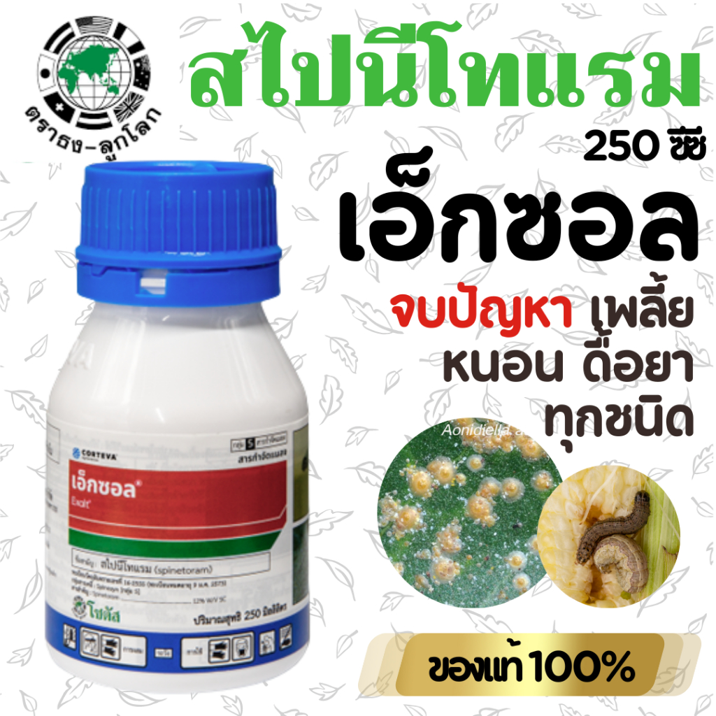 [250cc] เอ็กซอล (Exalt) สไปนีโทแรม (Spinetoram) 12% SC ออกฤทธิ์กำจัดหนอนและเพลี้ยไฟ มีความเป็นพิษต่ำต่อมนุษย์ สัตว