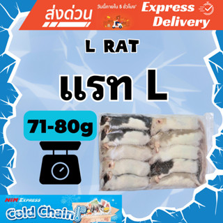 [ส่งด่วน] หนูแรทแช่แข็ง หนูแช่แข็ง หนูเหยื่อ Frozen Rat ไซส์…