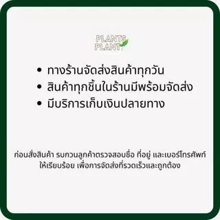 อิมิดาโคลพริด (ฟ๊อกซ์ด้า70, 100กรัม) กำจัดแมลง เพลี้ยไฟ หนอน