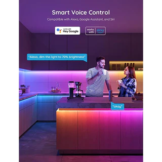 Govee RGBIC Basic LED Strip Light 5M/10M Wi-Fi + Bluetooth Music Sync | ไฟเส้น LED อัจฉริยะ ปรับสีไล่เฉดรุ่น H618A