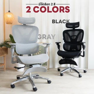 DESKSPACE เก้าอี้ทำงานเพื่อสุขภาพ รุ่น Stellar Ergonomic Chair เบาะนั่งตาข่ายเสริมฟองน้ำ พนักพิงปรับความสูงได้ 4 ระดับ