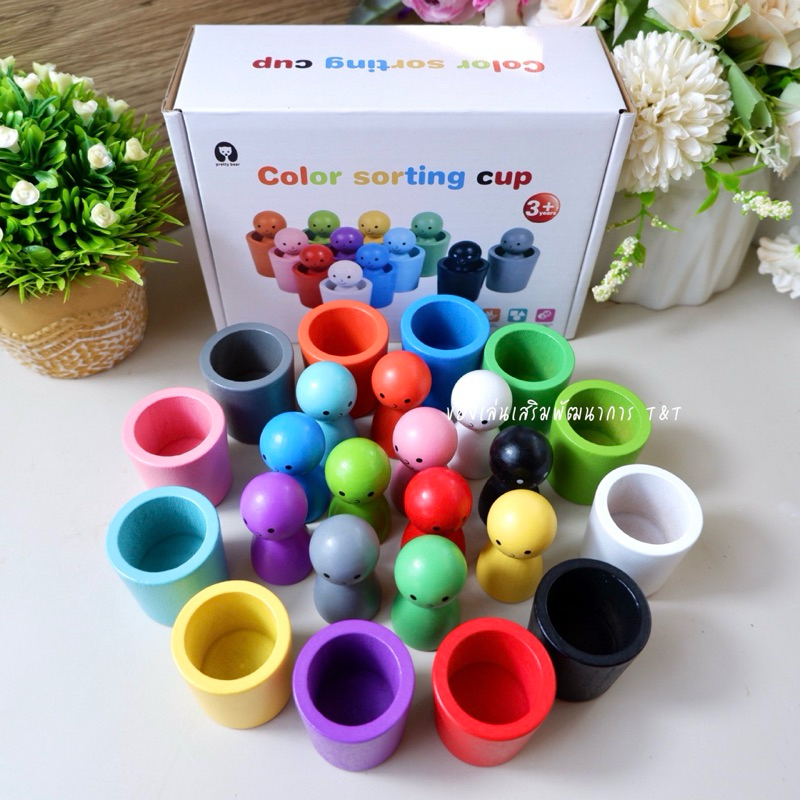 (T259) Color sorting cup  ของเล่นไม้ แก้วแยกสี