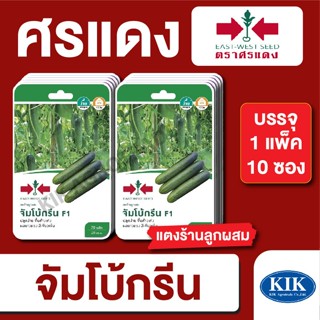 เมล็ดพันธุ์ ผักซอง ศรแดง แตงร้าน จัมโบ้กรีนGG F1 บรรจุแพ็คละ…