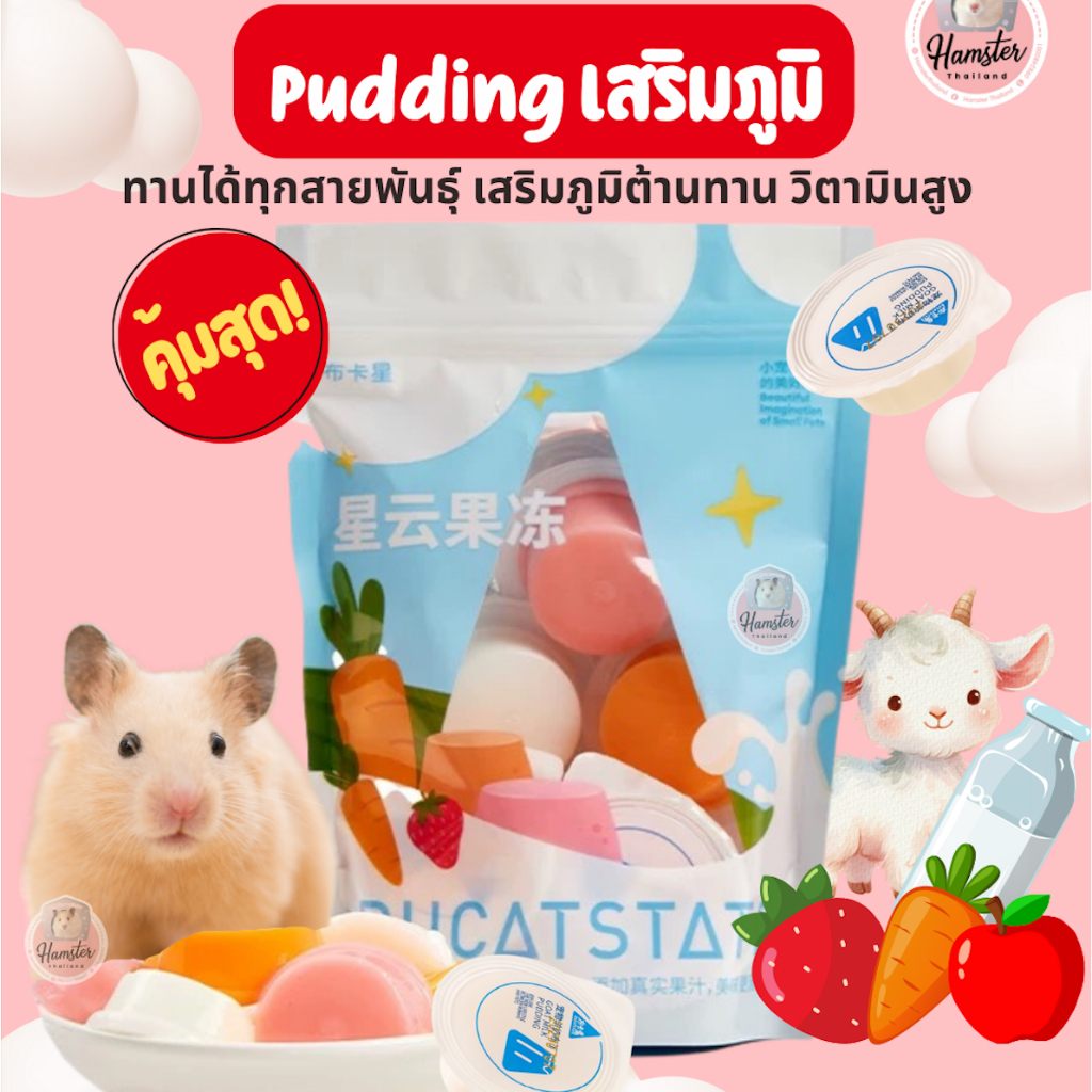 [Hamsterthailand] เยลลี่ผลไม้ พุดดิ้งนมแพะ พุดดิ้งแฮมสเตอร์ อาหาร ขนม อาหารเสริม วิตามิน แฮมสเตอร์ เม่นแคระ