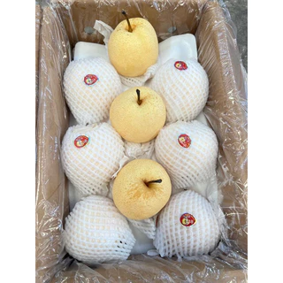 พร้อมส่ง‼️1KG สาลี่น้ำผึ้ง หวานฉ่ำอร่อย