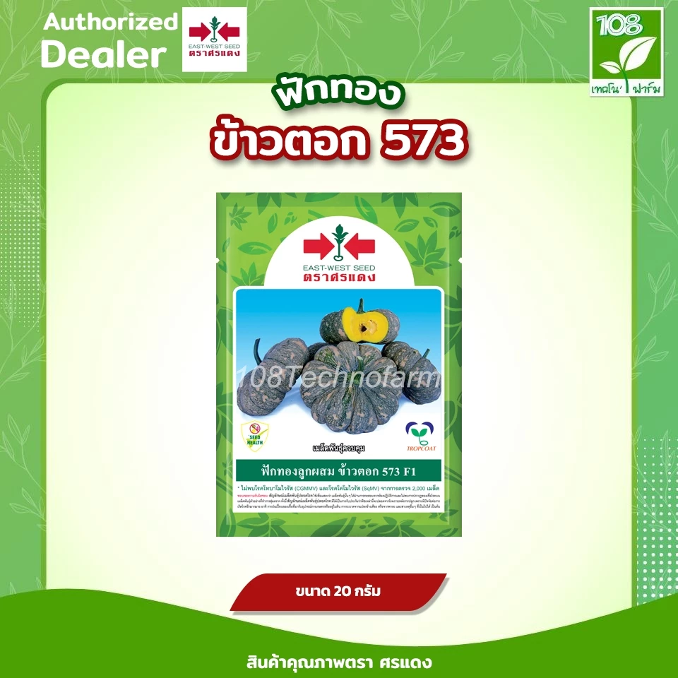เมล็ดพันธุ์ ฟักทอง ลายข้าวตอก 573 ตราศรแดง ขนาด 20 กรัม