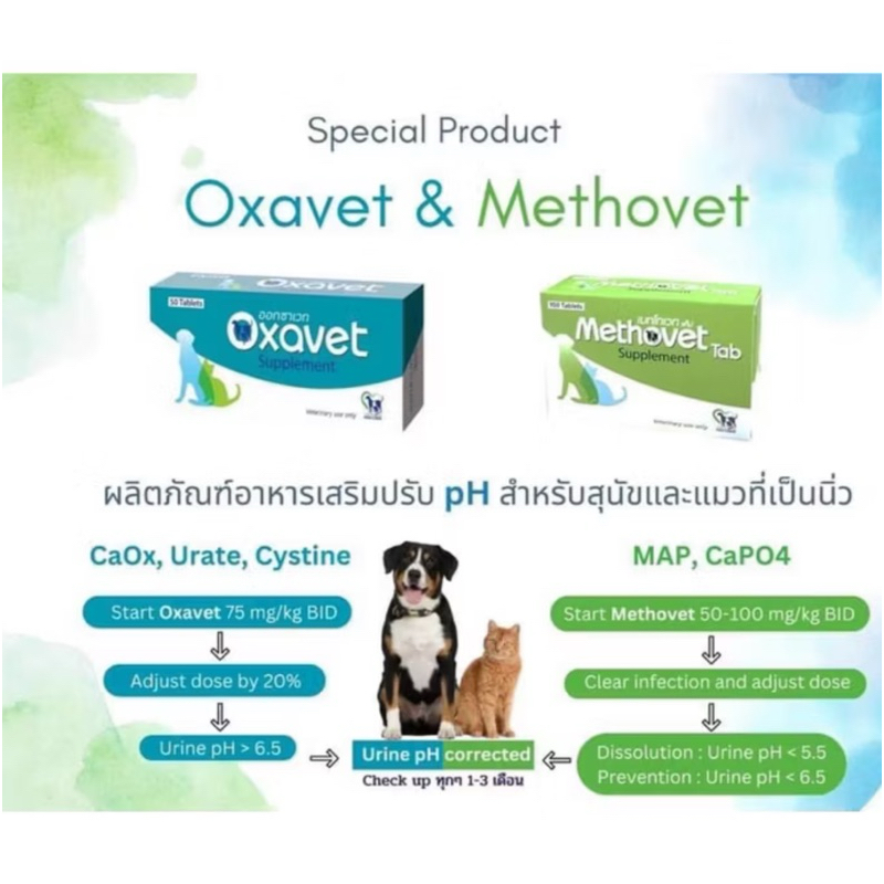Methovet , Oxavet ยกกล่อง 50- 100 เม็ด อาหารเสริมลดการเกิด-สลายนิ่ว Struvite ในแมวและสุนัข