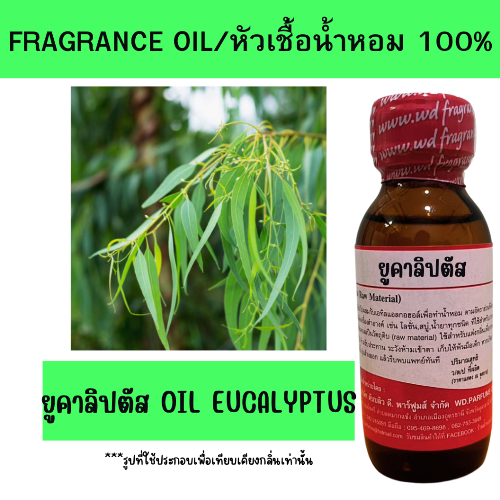 หัวน้ำหอม100% ยูคาลิปตัส oil eucalyptus หัวเชื้อน้ำหอมฉีดกาย เครื่องสำอาง ขนาด 30 มล.