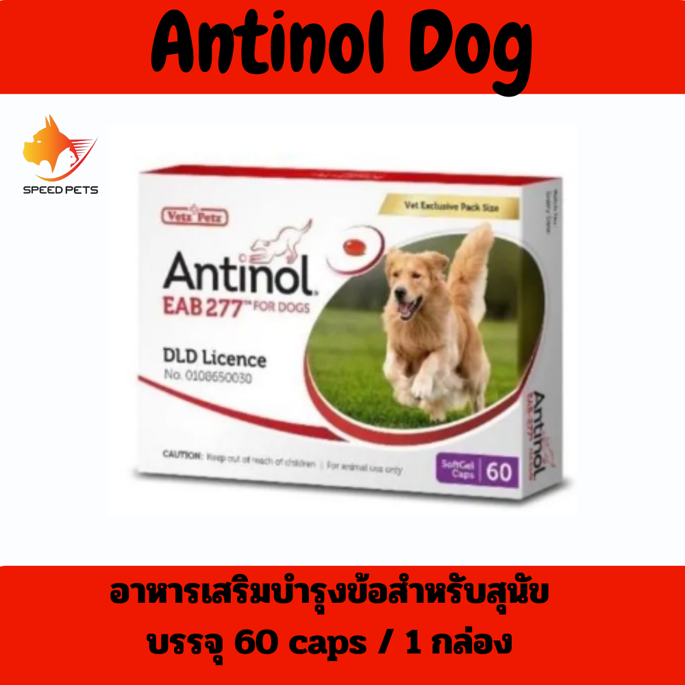 Antinol Dog อาหารเสริมบำรุงข้อสุนัข 60 แคปซูล (1 กล่อง)