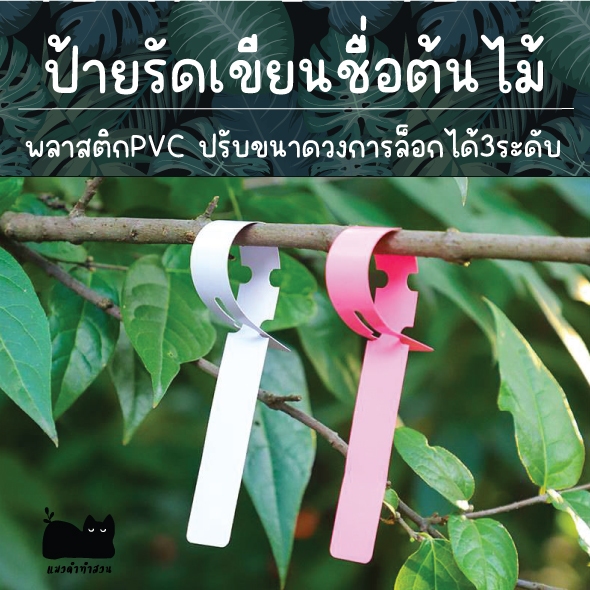 ป้ายเขียนชื่อต้นไม้ แบบรัด แบบคล้อง 100ชิ้น ปรับขนาดวงการล็อกได้3ระดับ พลาสติกpvc ทนแดด ทนฝน