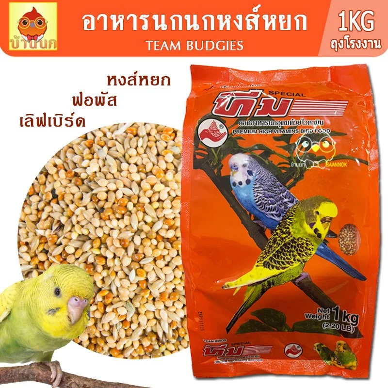 Team Budgie ทีม หงส์หยก 1kg (ถุงโรงงาน) นกหงส์หยก ฟอพัส เลิฟเบิร์ด และ นกขนาดเล็ก