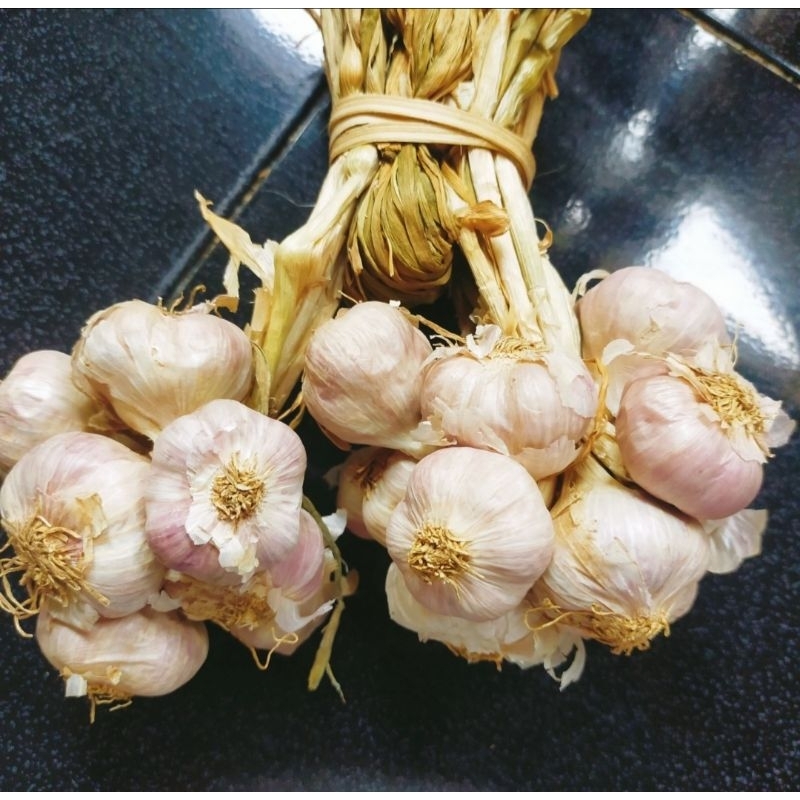 กระเทียมไทย มัดจุก สำหรับปรุงอาหาร กลิ่นหอมแรงมาก ทำกับข้าวอร่อย