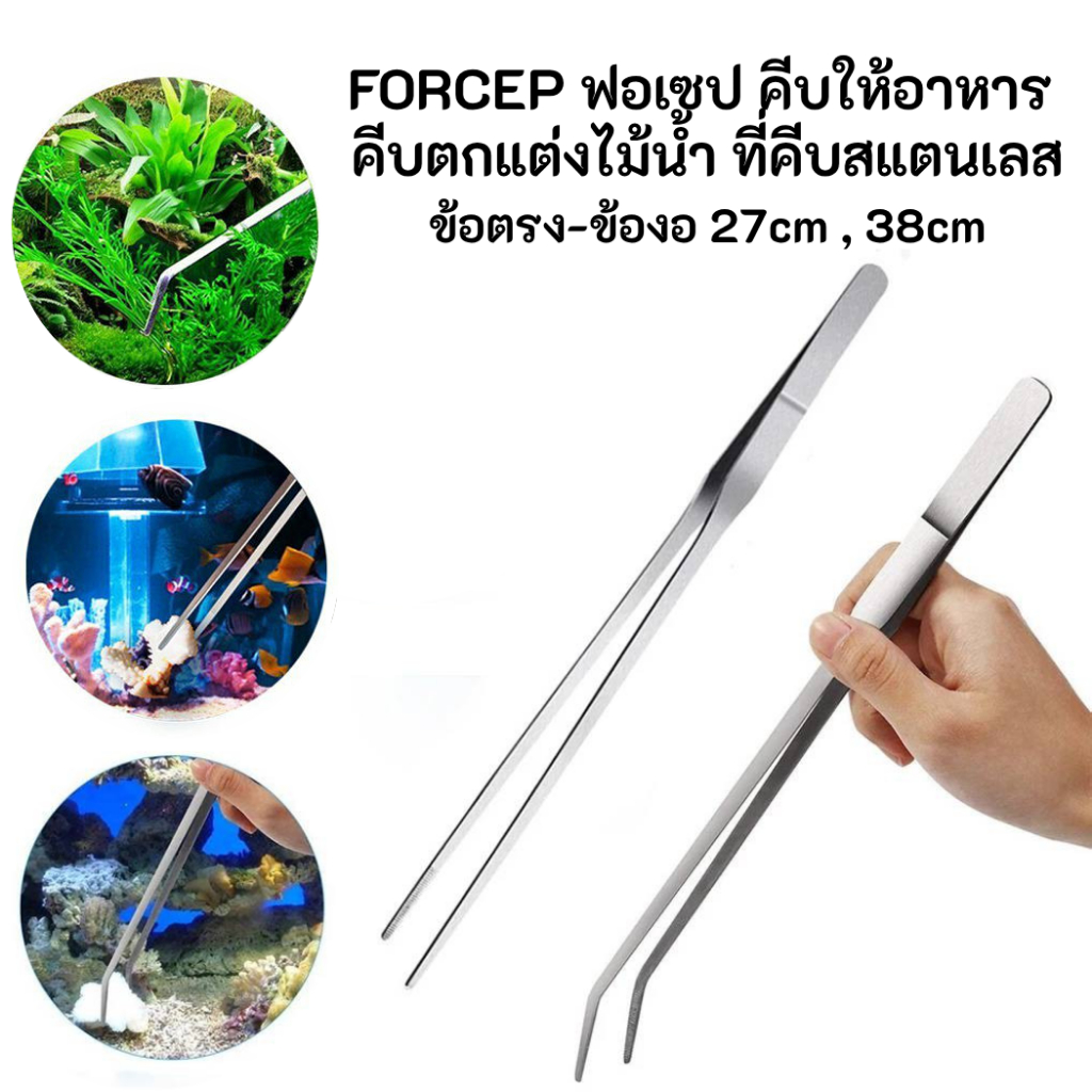 ฟอเซป ที่คีบ สแตนเลส ข้องอ ข้อตรง ที่ีคีบให้อาหารสัตว์ ที่คีบตกแต่งตู้ปลา ที่คีบอาหาร