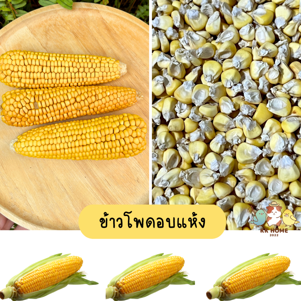 ข้าวโพดอบแห้ง ฟรีซดราย ข้าวโพดอบแห้งแฮมเตอร์ ชูการ์ กระรอก และสัตว์ฟันแทะ สำหรับสัตว์เลี้ยง