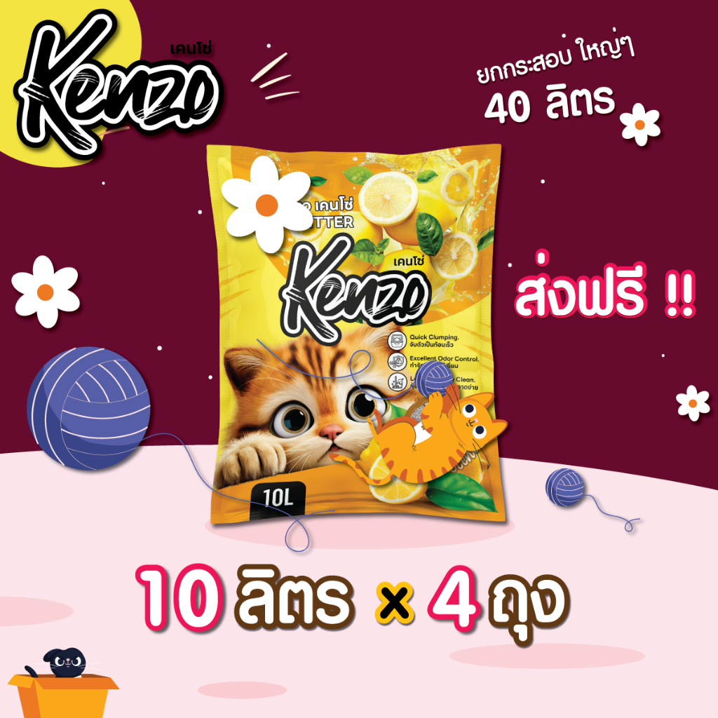 รูปภาพ 4