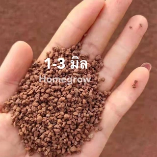 หินภูเขาไฟลาวา 1-3 มิล หินลาวาดำ หินลาวาแดง (Lava Stone) | ผสมดินปลูก โรยหน้ากระถาง ใส่บ่อปลา
