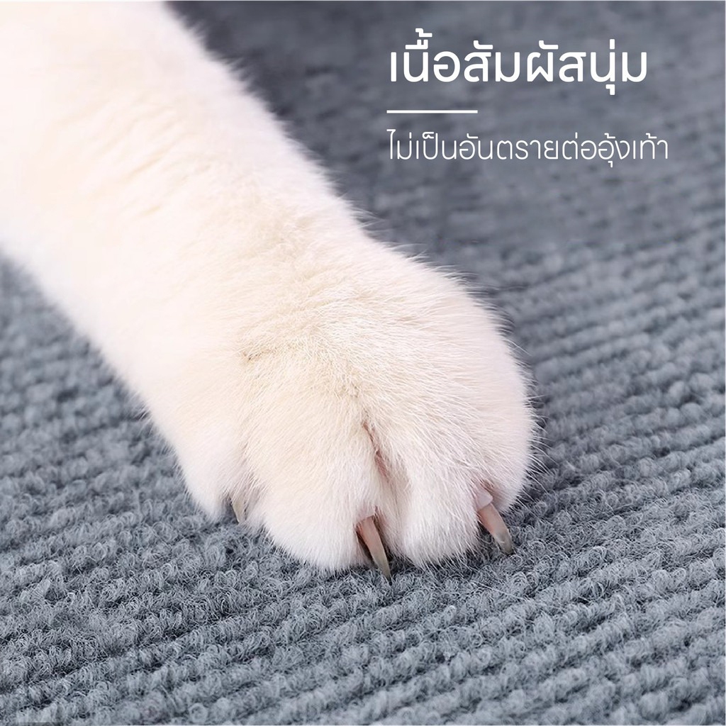 พร้อมส่ง✨พรมลับเล็บแมว ที่ฝนเล็บ มีกาวในตัว กันรอยข่วนได้ดี แผ่นแมวปีน ที่ลับเล็บแมว แผ่นกันข่วน ที่กันแมวข่วน ถนอมโซฟา - รูปที่ 6