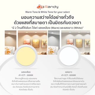 [3FREE1] RANDY ไฟดาวน์ไลท์LED ดาวน์ไลท์ติดลอย White&Warm โคมไฟเพดาน Downlight ไฟติดห้อง ไฟเพดาน LEDไฟห้องนอน ประกัน2ปี