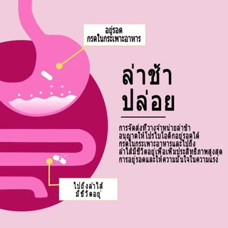 ISNIH Probiotics โปรไบโอติก 50 พันล้าน CFU ด้วยโปรไบโอติก พรีไบโอติกส์ ปรับปรุงการย่อยอาหาร 60 แคปซูล