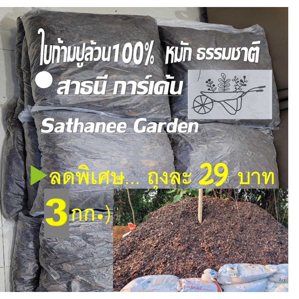 ใบก้ามปูหมักคุณภาพ3ก.ก.ให้ไนโตรเจนสูง ใบดำ รักษามาตรฐานทุกถุง หมักแบบธรรมชาติเกิน3เดือนขึ้นไป(น.น.โดยประมาณ)