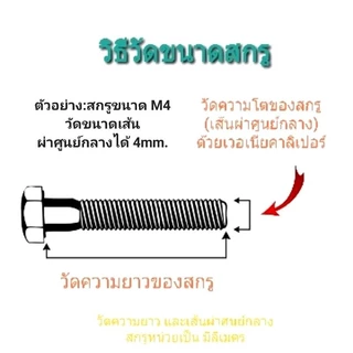 สกรูตัวยาว พิเศษ หัวกลมแฉก (+) สกรูร้อยมอเตอร์