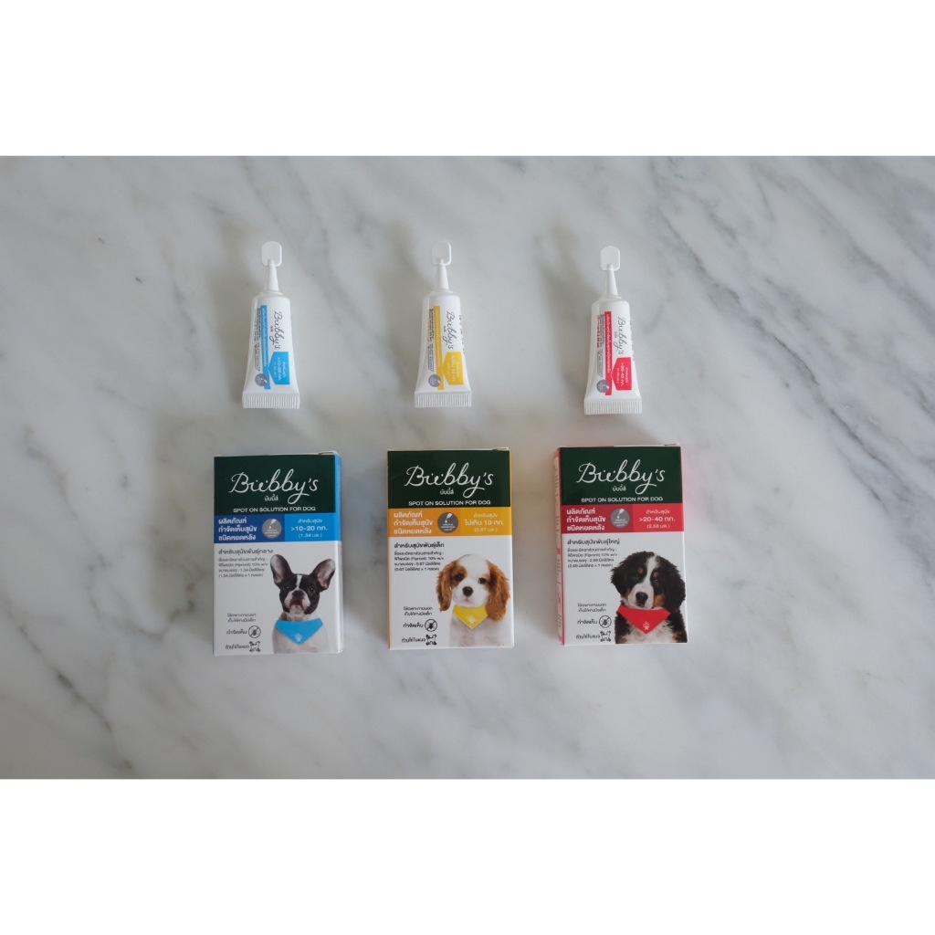 รูปภาพ 3