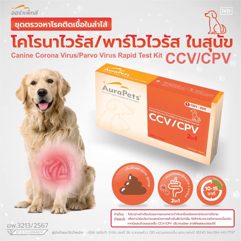 Aurapets (ออร่าเพ็ท) ชุดตรวจหาโรคทางเดินอาหาร Canine Corona Virus/Parvo Virus (CCV/CPV)