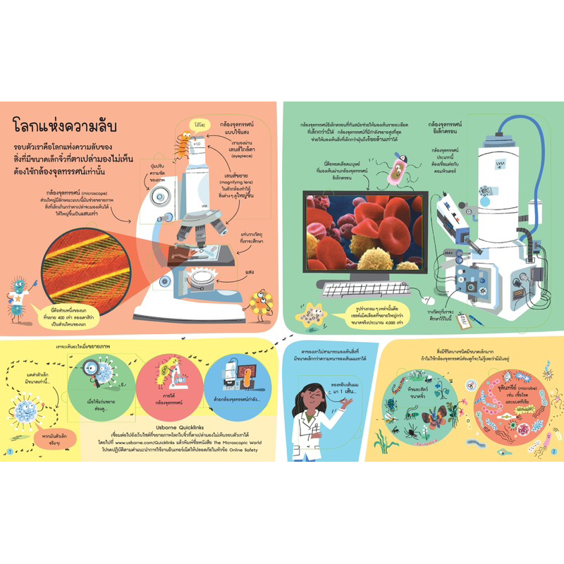 Thumbnail 5