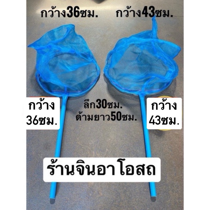 สวิงตักปลา กระชอน ผ้ามุ้ง สวิงช้อนปลา สวิงตักลูกน้ำ สวิงตักลูกปลา สวิงตักกุ้งฝอย กระชอนตักปลา กระชอน