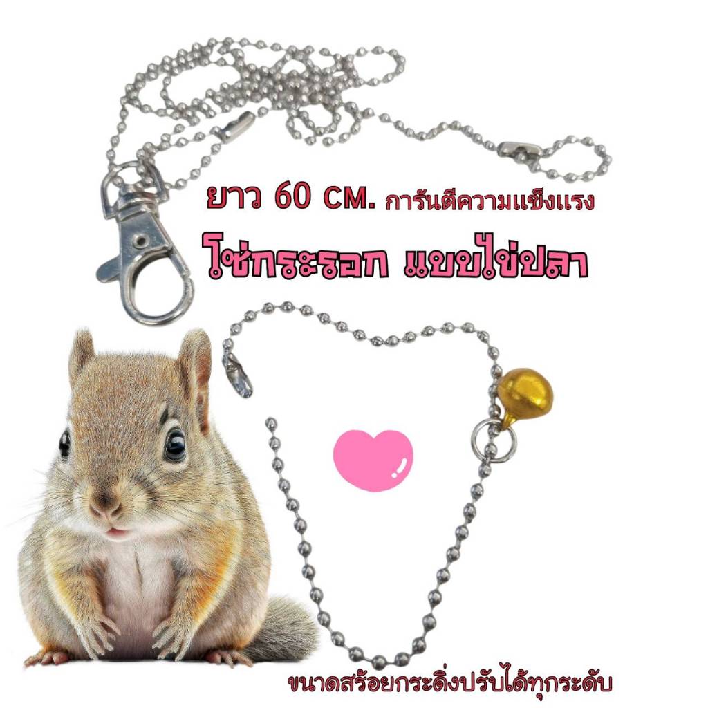 โซ่กระรอกเเสตนเลส แบบไข่ปลา พร้อมกระสร้ายกระดิ่ง ความยาว 60 cm. ปรับได้ ส่งด่วนทุกวัน!