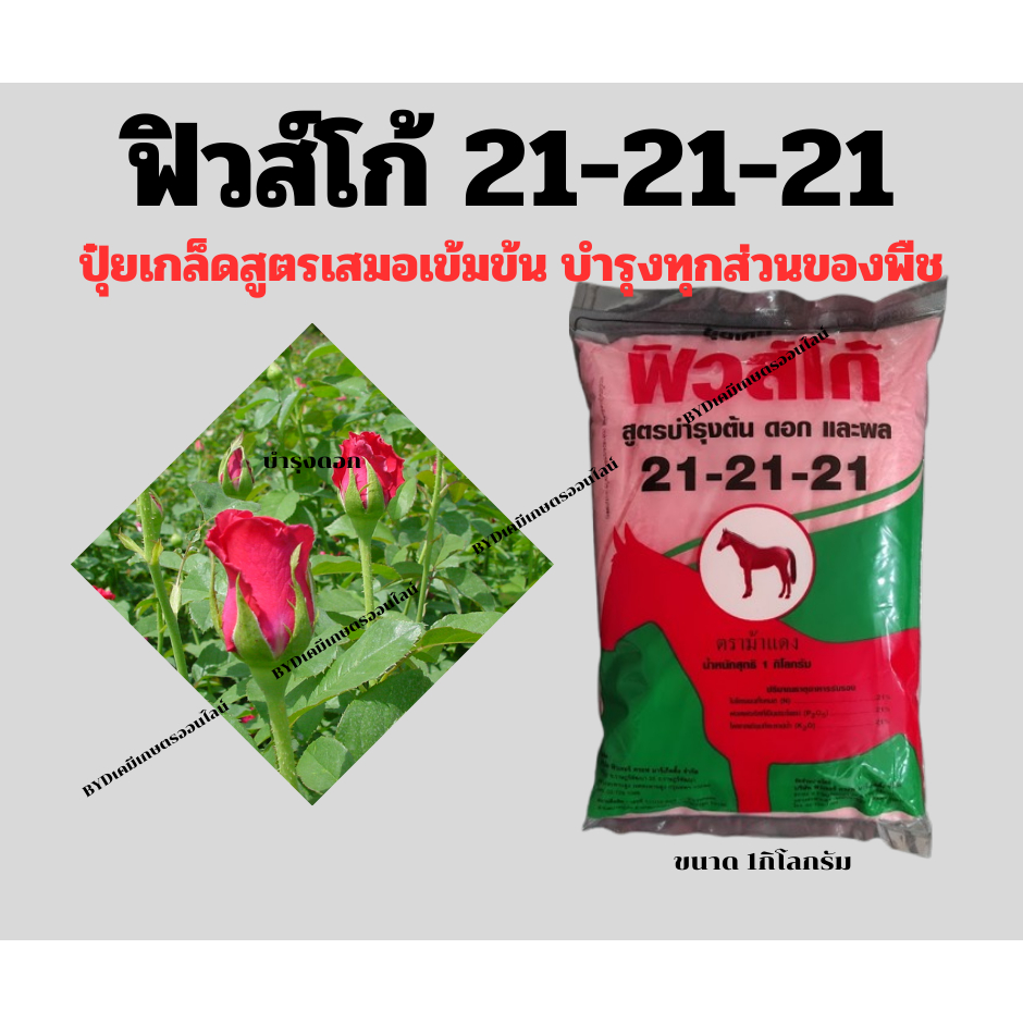ปุ๋ยเกล็ดฟิวส์โก้ สูตร21-21-21 ตราม้าแดง ปุ๋ยเกล็ดสูตรเสมอ เสริมความสมบูรณ์ให้พืชในทุกสัดส่วน ละลายดี ไม่มีตะกอน - รูปที่ 2