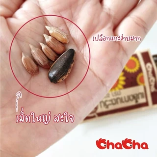 ชาช่า เมล็ดทานตะวัน [ซอง 89บาท] 350 กรัม ( Chacha )