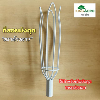 ที่สอยมังคุด ตราค้างคาว เคลือบผิวพลาสติกสีขาว (ที่สอยผลไม้, ที่สอยมะละกอ, ตะกร้อสอยผลไม้)