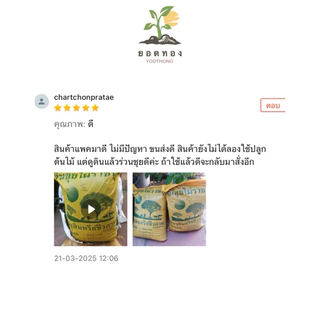 (ส่งด่วนส่งทันที) Yodthong ดินพร้อมปลูก 1 กิโลกรัม ผสมครบจบ ไม่ต้องผสมเพิ่มเติม ดินปลูกต้นไม้