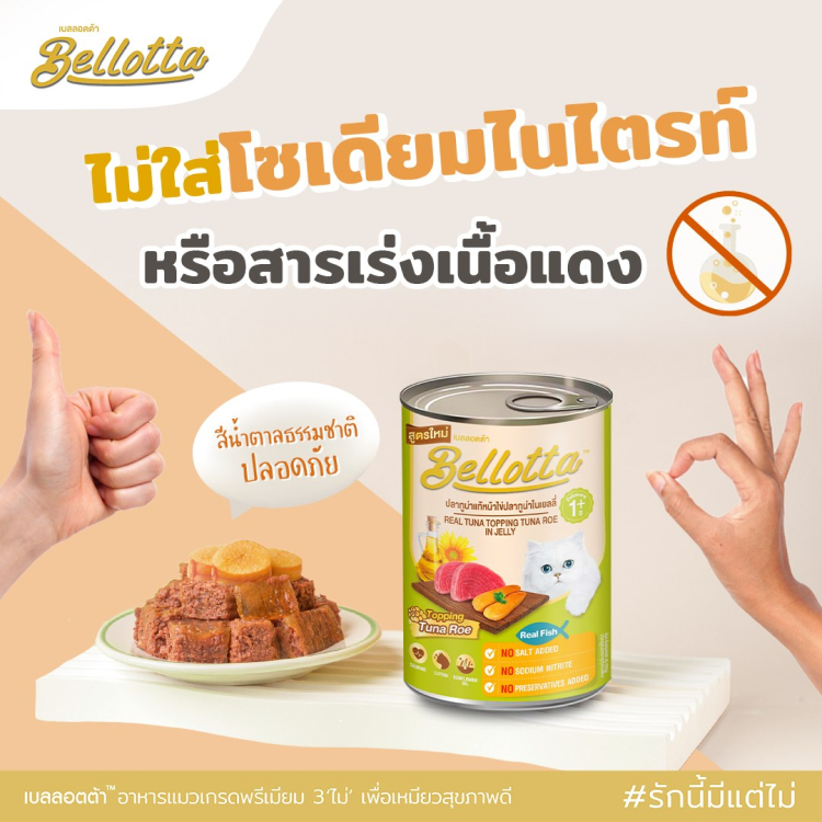 รูปภาพ 6