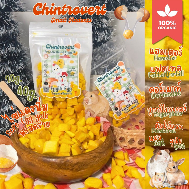 Chintrovert ✨| Soft egg yolk freeze dried ไข่แดงนิ่มฟรีสดราย 20g.-40g.